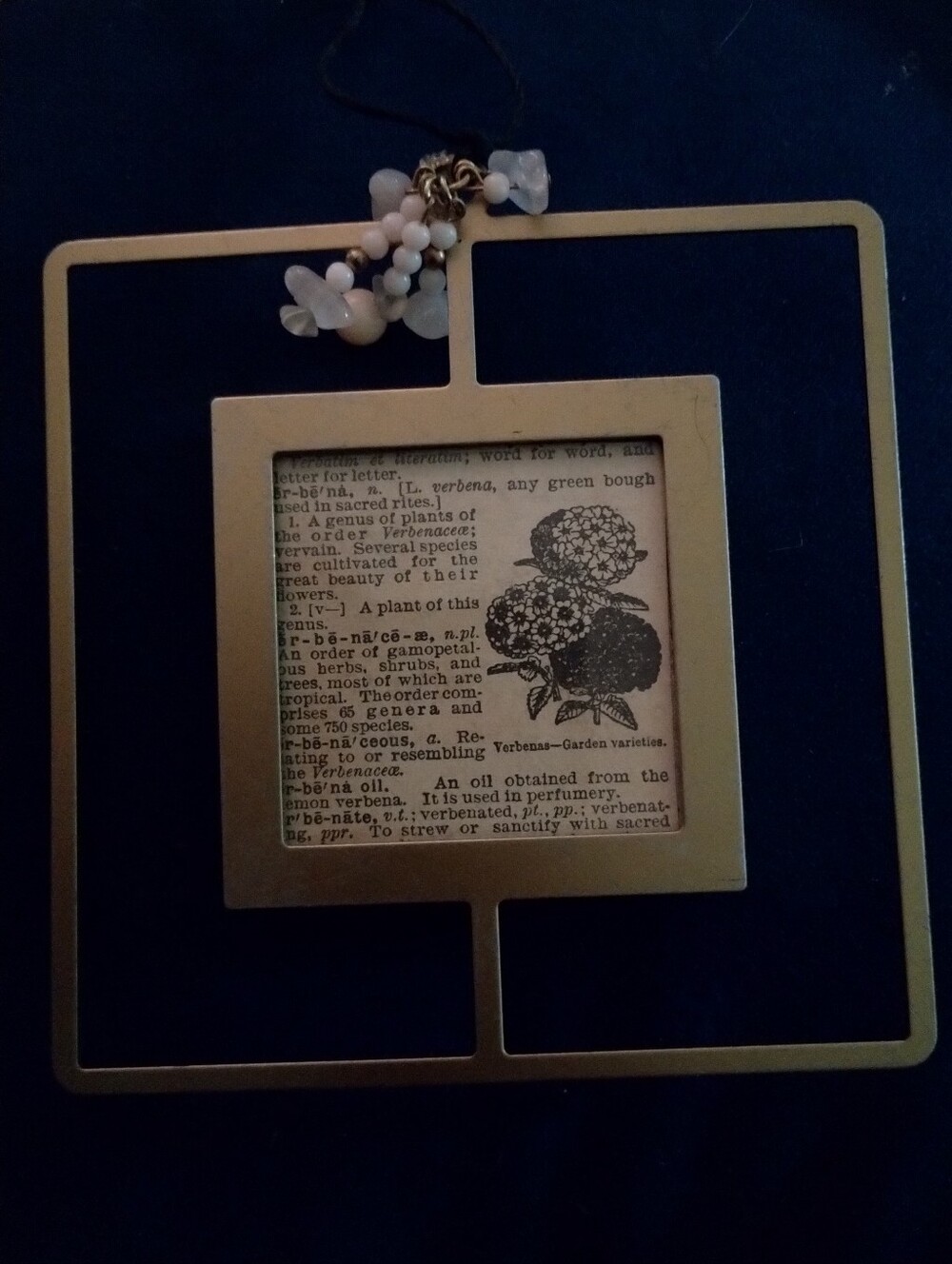 Vintage Dictionary Clipping Hanging Gold Frame